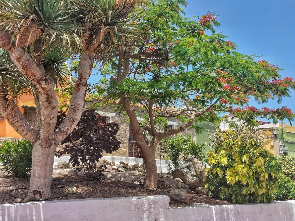 Casa En La Ladera - Real Vibe - Beach & Mountain San Nicolás Buitenkant foto